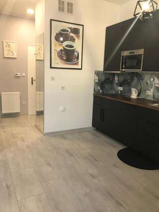 Апарт-отели Apartament Solny Centrum Wieliczka 11 Величка Апартаменты-10